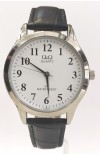 Q&Q Watch C168J304