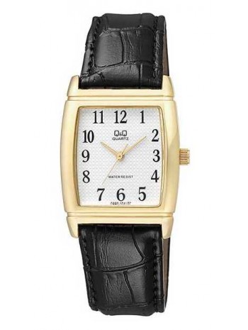 Q&Q Watch Q880J104