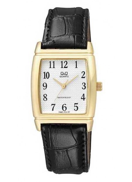 Q&Q Watch Q880J104